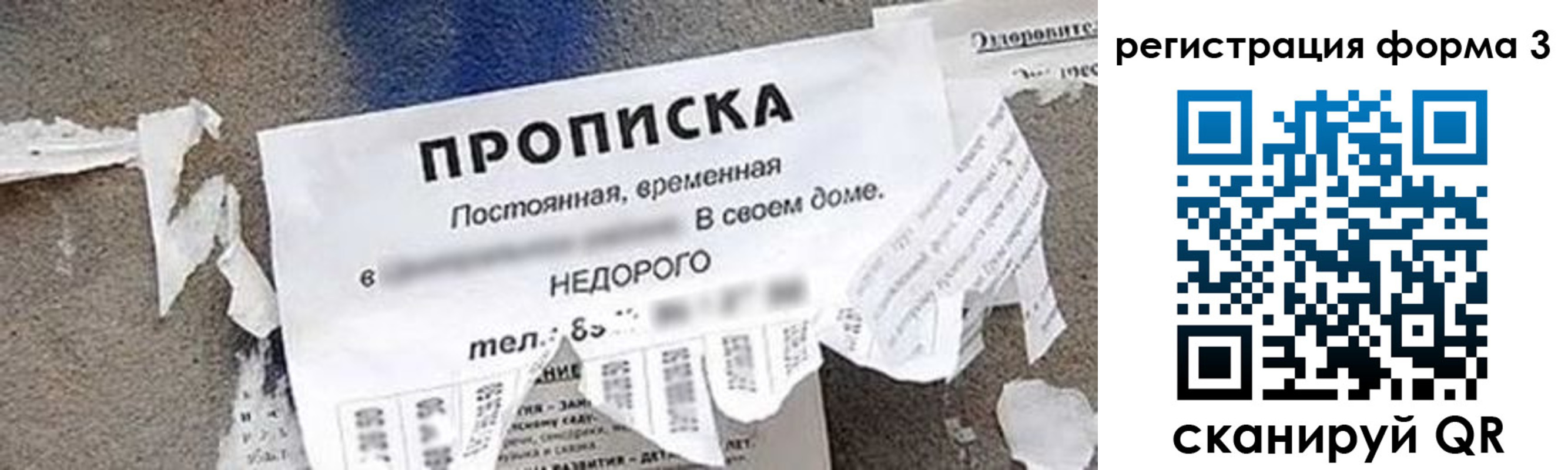 прописка 2025 в Смоленской области
